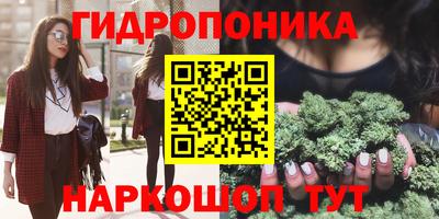 прущие грибы Канаш