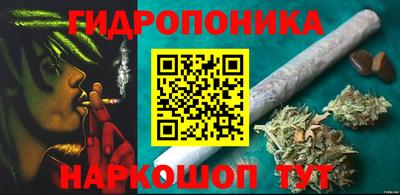 прущие грибы Канаш
