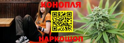 прущие грибы Канаш