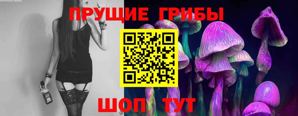 Шарыпово  Псилоцибиновые грибы мухоморы  цена наркотик  Галлюциногенные грибы Psilocybine cubensis  Вход с VPN 